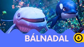 Bálnadal