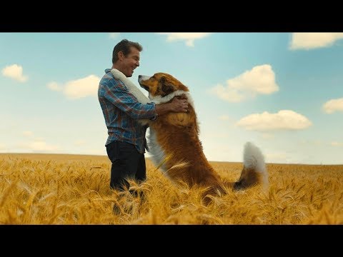 Egy kutya négy útja előzetes magyar szinkronnal