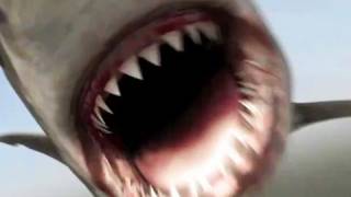 Gyilkos cápa az óriáskrokodil ellen előzetes