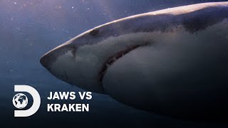 Jaws vs. Kraken