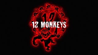 12 majom előzetes