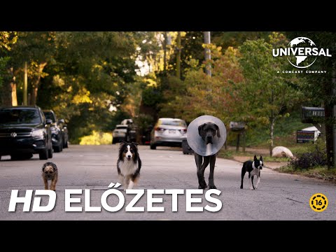 Kivert kutyák előzetes magyar szinkronnal