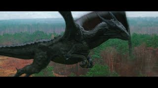 Dragon Kingdom előzetes